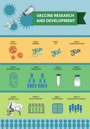 Vaccine research and development infographic illustrationのイラスト素材