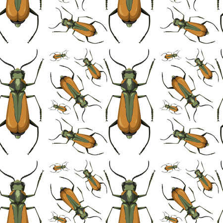 Malachius Aeneus insect seamless background illustrationのイラスト素材