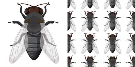 Fly insect and seamless background illustration