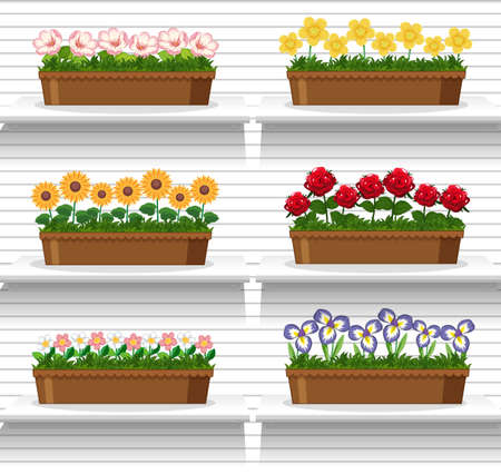 Set of plant on shelves illustrationのイラスト素材