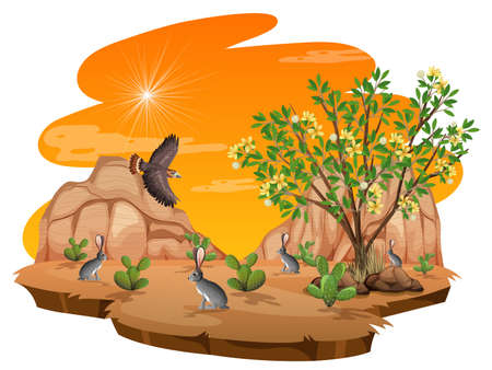 Creosote Bush plant in wild desert on white background illustrationのイラスト素材