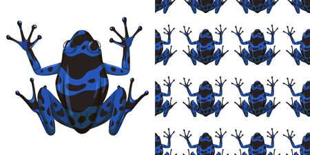 Blue poison dart frog isolated on white background and seamless illustrationのイラスト素材