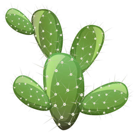 Prickly Pear Cactus isolated on white background illustrationのイラスト素材