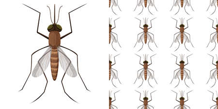 Mosquito insects isolated on white background and seamless illustration