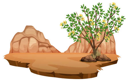 Creosote Bush plant in wild desert on white background illustrationのイラスト素材