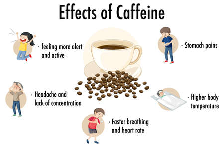 Effects of caffeine information infographic illustrationのイラスト素材