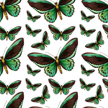 Green butterfly seamless background illustrationの写真素材