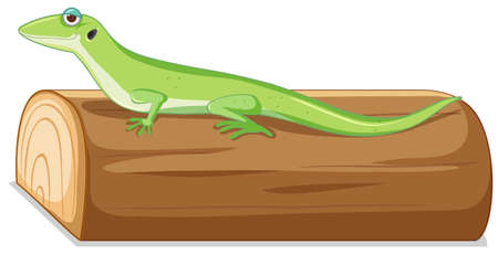Green lizard on the wood illustrationのイラスト素材