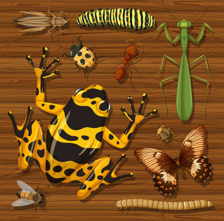 Set of different insects on wooden wallpaper background illustrationのイラスト素材