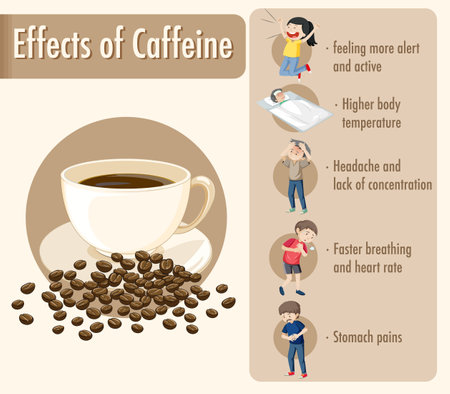 Effects of caffeine information infographic illustrationのイラスト素材