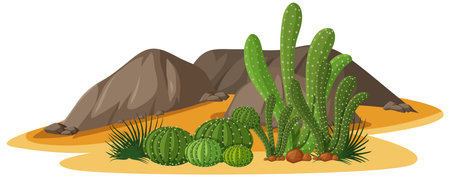 Different shapes of cactus in a group with rocks elements on white background illustrationのイラスト素材