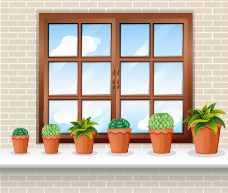 Plant pots near the window illustrationのイラスト素材