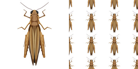 Grasshopper insects isolated on white background and seamless illustrationのイラスト素材