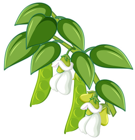 String bean tree cartoon style isolated on white background illustrationのイラスト素材