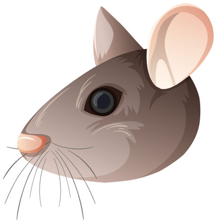 Isolated mouse head on white background illustrationのイラスト素材