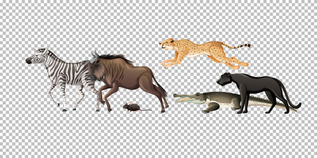 Group of wild african animal on transparent background illustrationのイラスト素材