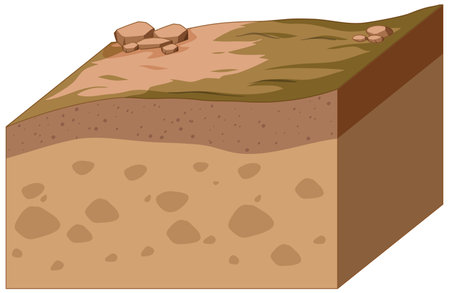 Layers of soil isolated on white background illustrationのイラスト素材