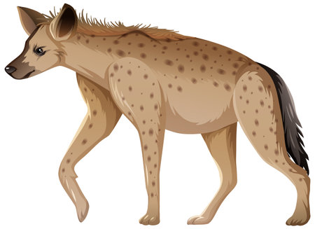 Hyena animal on white background illustrationのイラスト素材