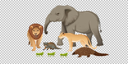 Group of wild african animal on transparent background illustration