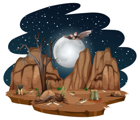 Wild desert with desert animal at night on white background illustrationのイラスト素材
