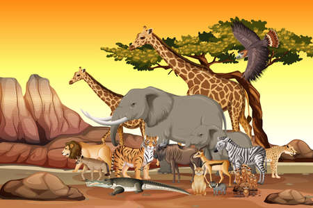 Group of Wild African Animal in the forest scene illustrationのイラスト素材