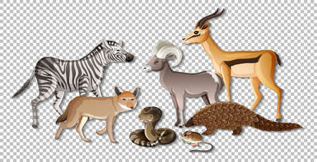 Group of wild african animals on transparent background illustration