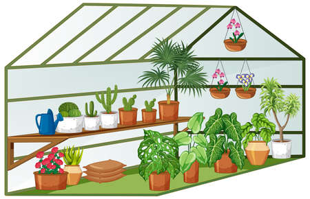 Open view of Greenhouse with many plants inside illustrationのイラスト素材