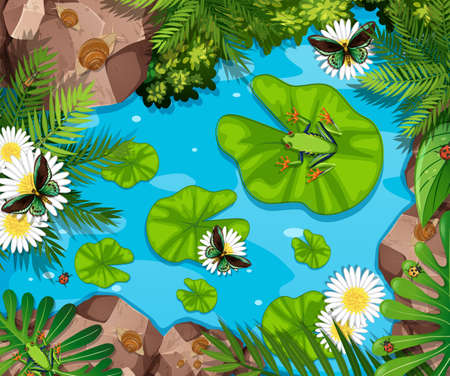 Aerial scene with frogs and lotus leaves in the pond illustrationのイラスト素材