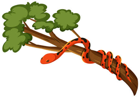 Snake on a branch isolated on white background illustration