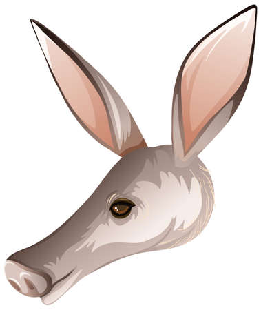 Aardvark Africa native animal head on white background illustrationのイラスト素材