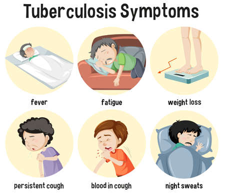 Tuberculosis Symptoms Information Infographic illustrationのイラスト素材