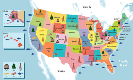 United States of America map with states names illustrationのイラスト素材