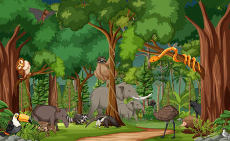 Wild animal cartoon character in the forest scene illustrationのイラスト素材