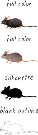 Set of mouse in color, silhouette and black outline on white background illustrationのイラスト素材