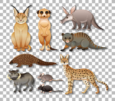 Set of isolated wild african animals on transparent background illustrationのイラスト素材