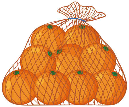 Oranges in net bag cartoon style isolated on white background illustrationのイラスト素材