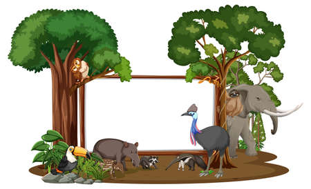 Empty banner with wild animals and rainforest trees on white background illustrationのイラスト素材