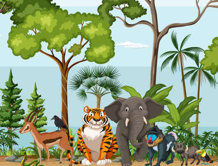 Rainforest scene with wild animals illustrationのイラスト素材