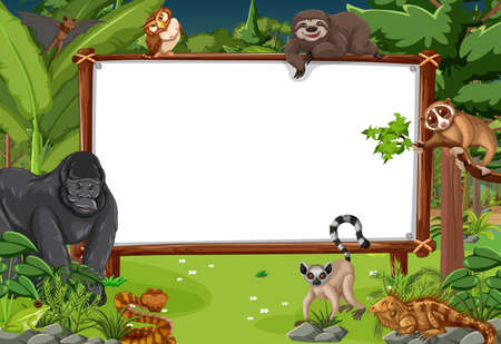 Blank banner in the rainforest scene with wild animals illustrationのイラスト素材