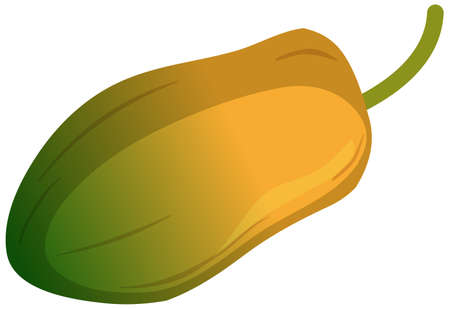A papaya fruit isolated cartoon style on white background illustrationのイラスト素材