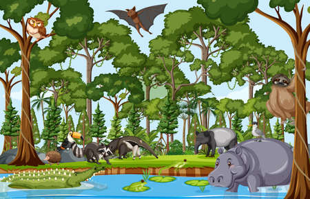 Wild animal cartoon character in the forest scene illustrationのイラスト素材