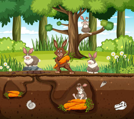 Underground animal burrow with rabbit family illustrationのイラスト素材