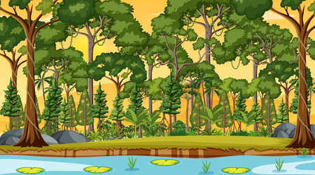 River along the forest scene at sunset time illustrationのイラスト素材