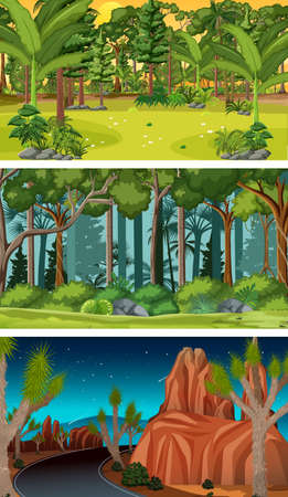 Set of different forest horizontal scenes in different times illustrationのイラスト素材