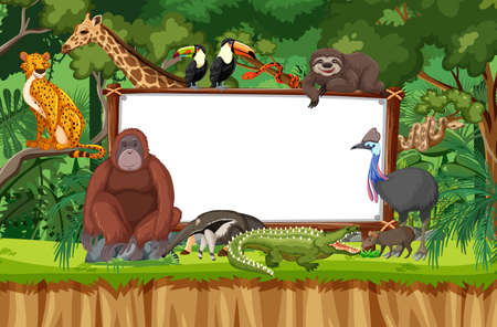 Blank banner in the rainforest scene with wild animals illustrationのイラスト素材