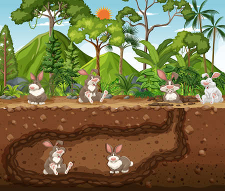 Underground animal burrow with rabbit family illustrationのイラスト素材