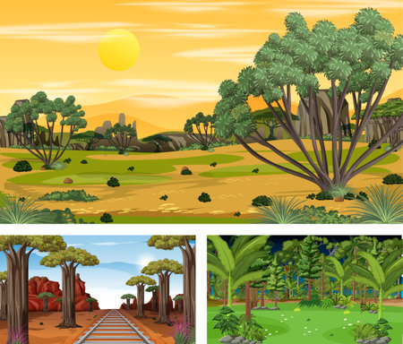 Set of savanna forest in different times horizontal scenes illustrationのイラスト素材