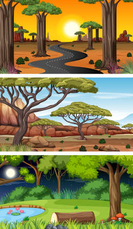 Set of different forest horizontal scenes in different times illustrationのイラスト素材