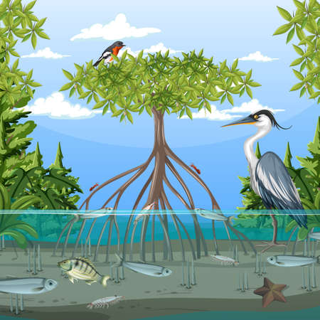Mangrove forest scene at daytime with animals illustrationのイラスト素材