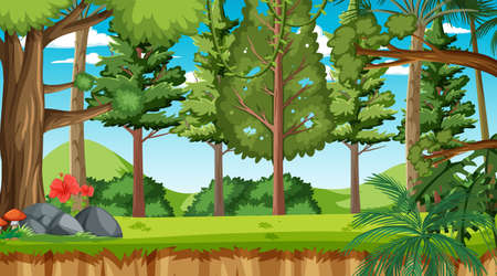 Nature forest landscape scene at daytime illustrationのイラスト素材